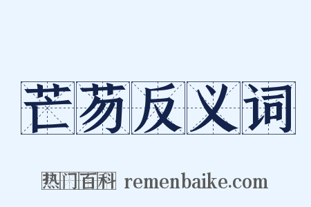 芒芴反义词是什么意思的图片